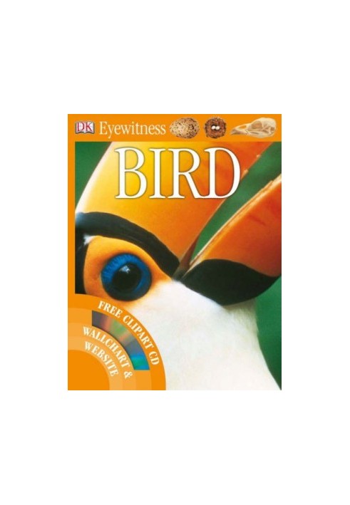 Bird.
