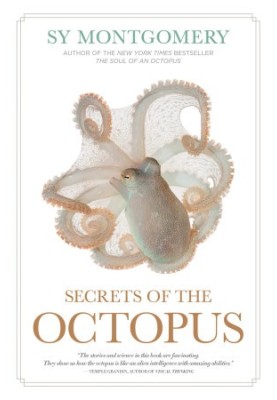Secrets of the Octopus