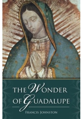 The wonder of Guadalupe : the origin and cult of the miraculous image of the Blessed Virgin in Mexico