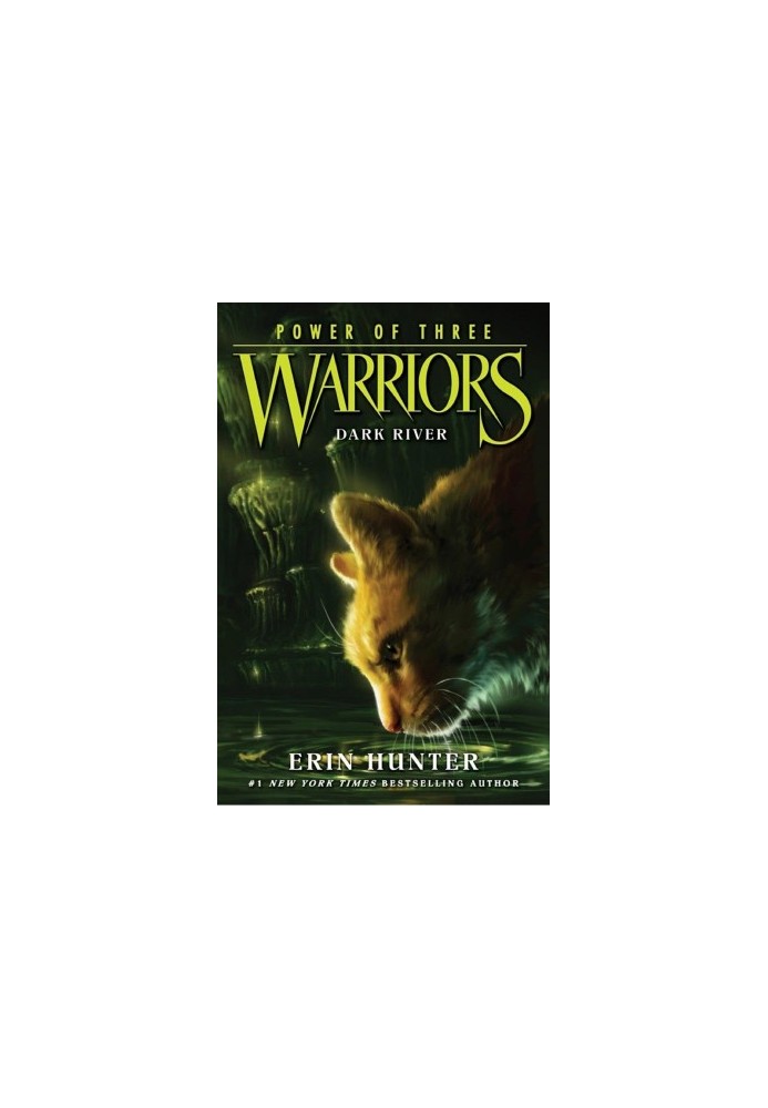 Warriors: Power of Three 2: Dark River