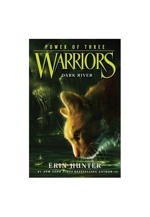 Warriors: Power of Three 2: Dark River