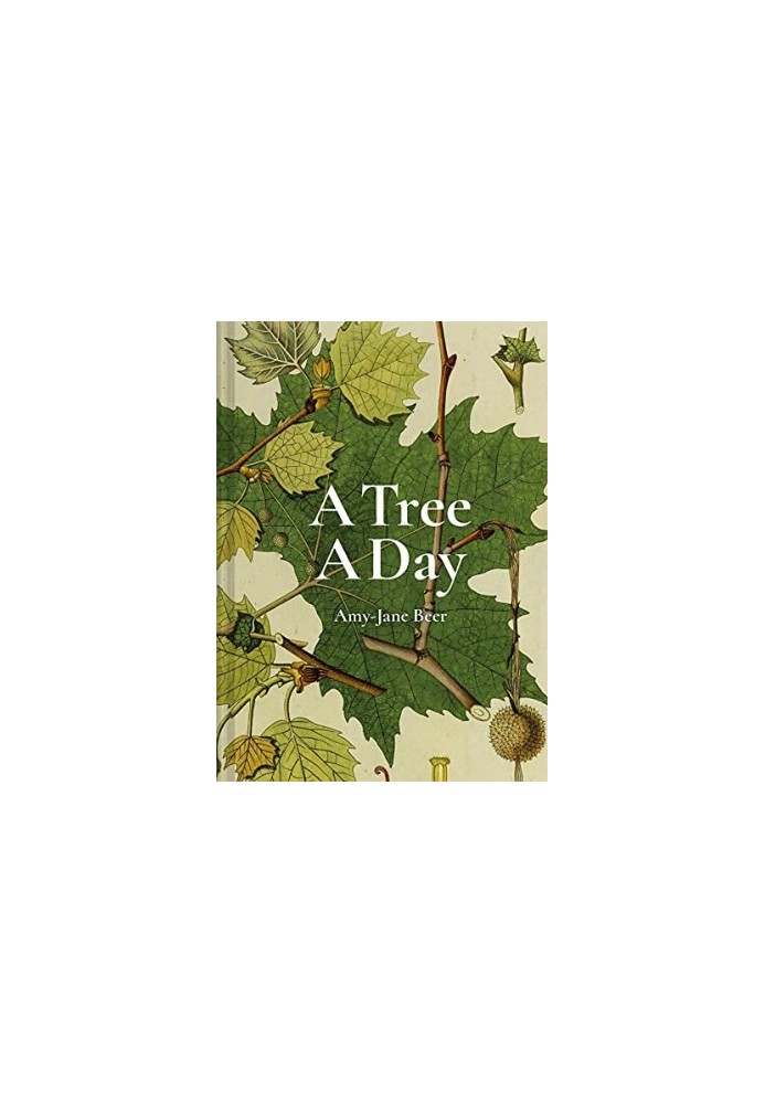 A Tree A Day