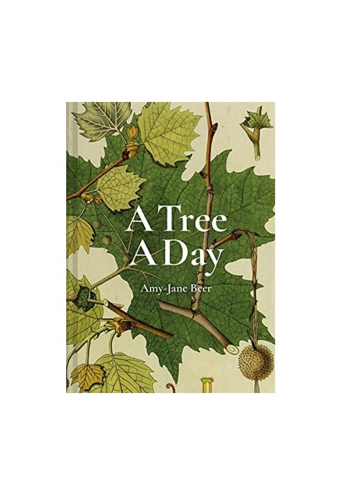 A Tree A Day