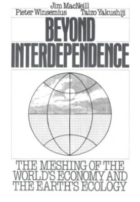 Beyond interdependence the meshing of the world's economy and the earth's ecology