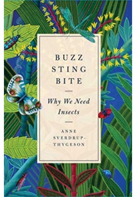 Buzz, Sting, Bite: Why We Need Insects