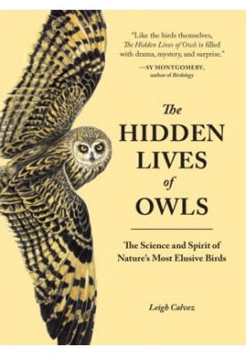 The Hidden Lives of Owls