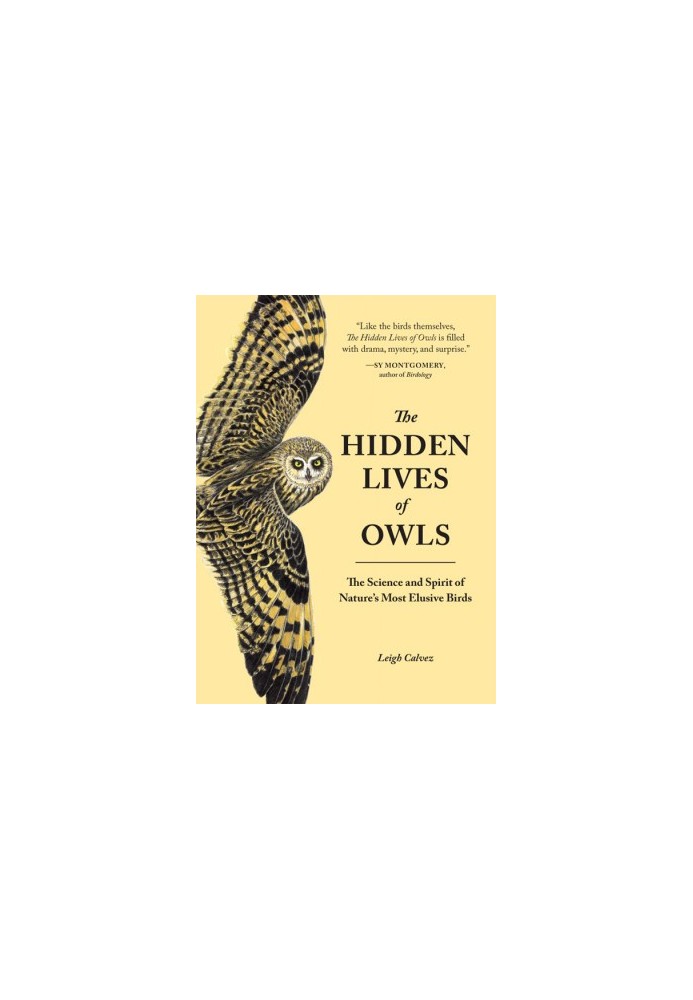 The Hidden Lives of Owls