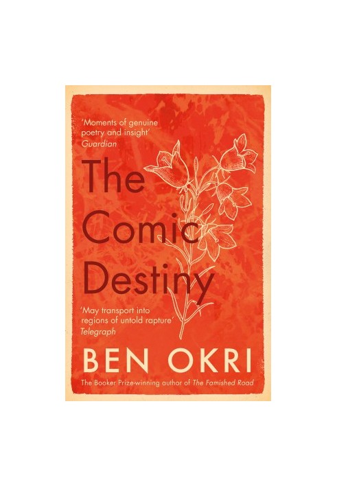 The Comic Destiny