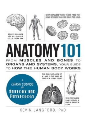 Anatomy 101: From Muscles and Bones to Organs and Systems, Your Guide to How the Human Body Works