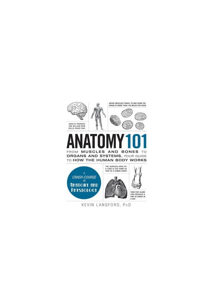 Anatomy 101: From Muscles and Bones to Organs and Systems, Your Guide to How the Human Body Works