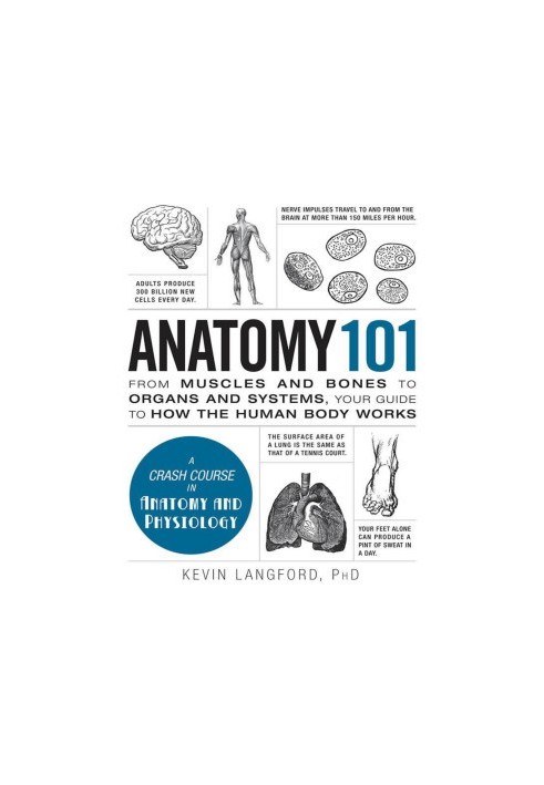 Anatomy 101: From Muscles and Bones to Organs and Systems, Your Guide to How the Human Body Works