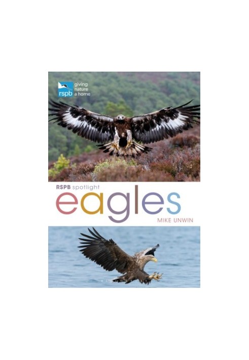 RSPB Spotlight: Eagles