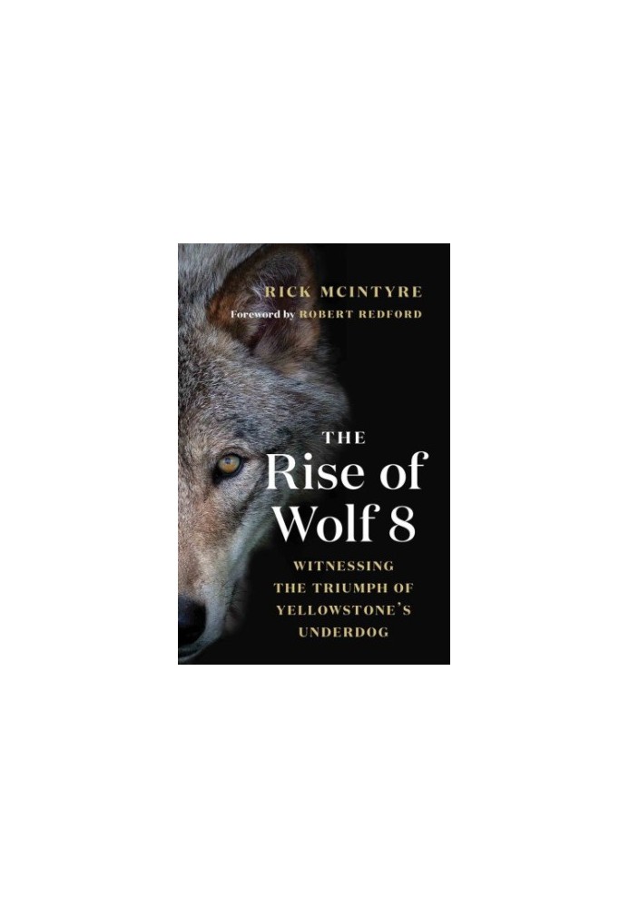 The rise of wolf 8: witnessing the triumph of Yellowstone's underdog