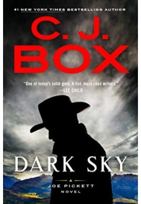 Dark Sky (A Joe Pickett Novel)