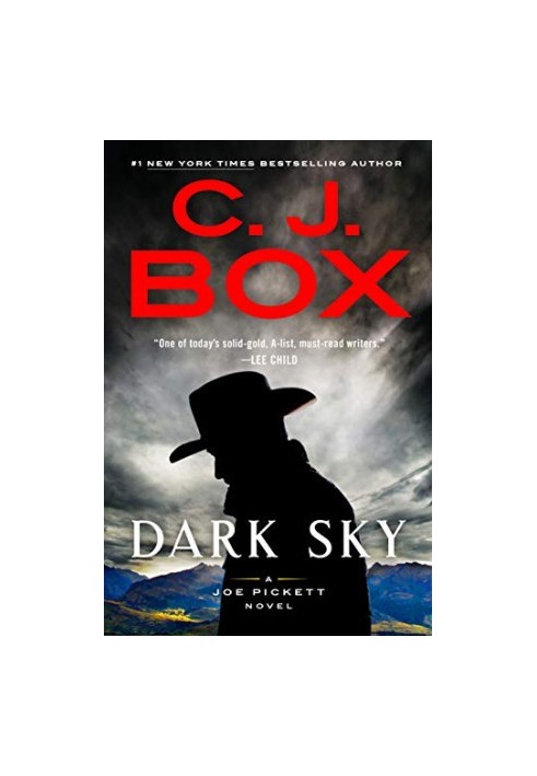 Dark Sky (A Joe Pickett Novel)