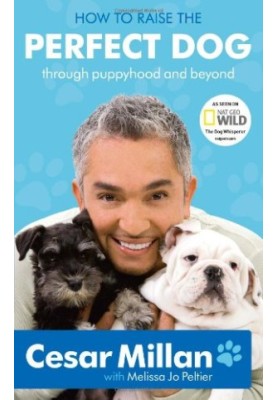 How to Raise the Perfect Dog: Through Puppyhood and Beyond