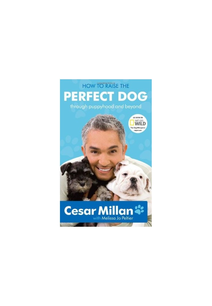 How to Raise the Perfect Dog: Through Puppyhood and Beyond