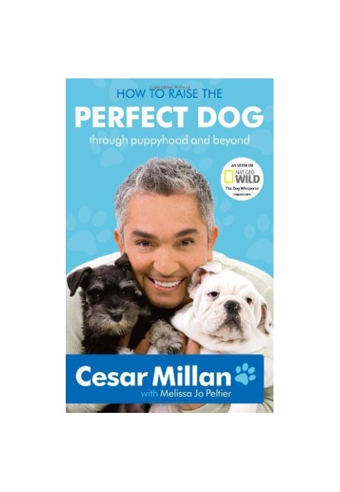 How to Raise the Perfect Dog: Through Puppyhood and Beyond