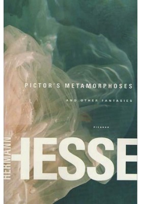 Pictor's Metamorphoses