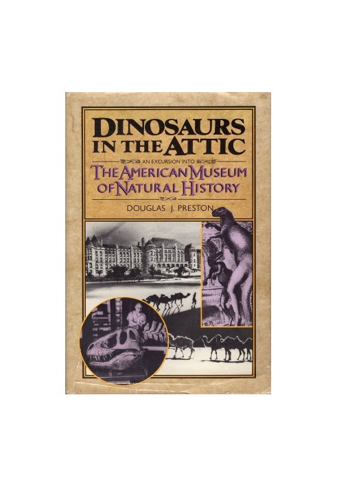 Dinosaurs in the Attic