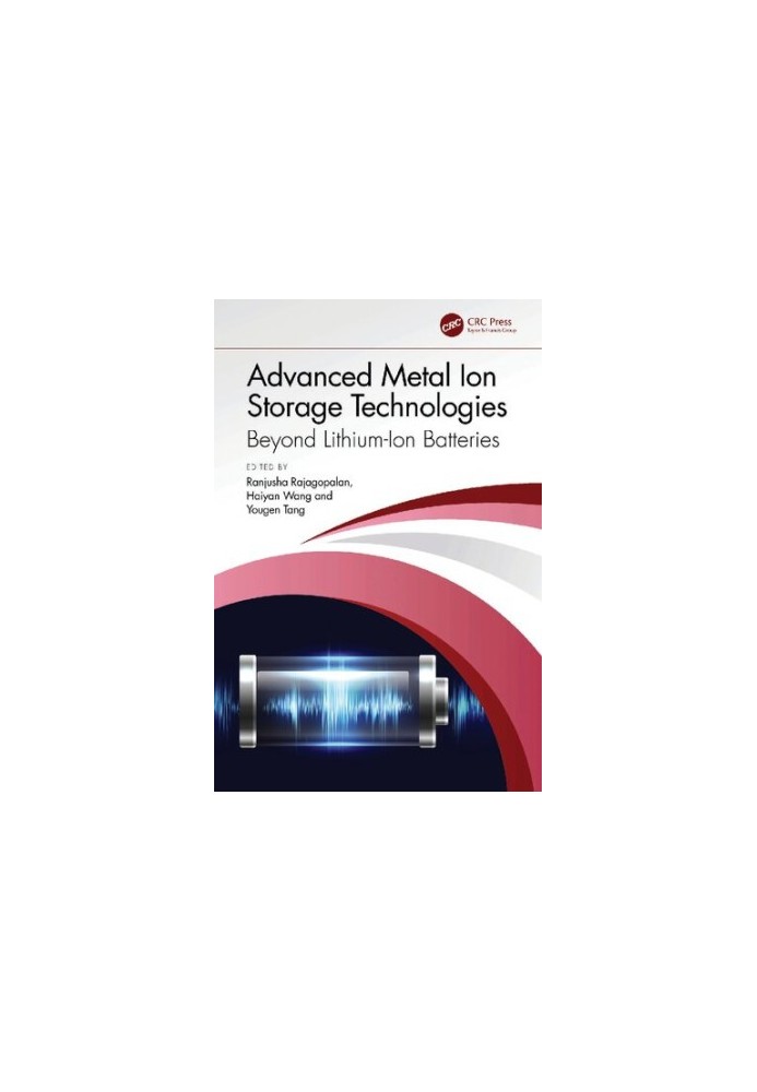 Advanced Metal Ion Storage Technologies: Beyond Lithium-Ion Batteries