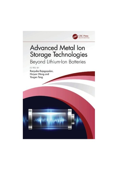 Advanced Metal Ion Storage Technologies: Beyond Lithium-Ion Batteries