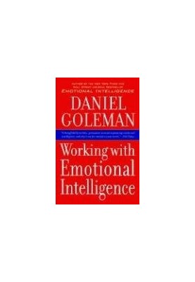 Summary book Working With Emotional Intelligence (REVIEW)