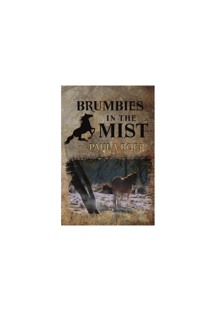 Brumbies in the Mist