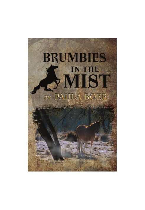 Brumbies in the Mist