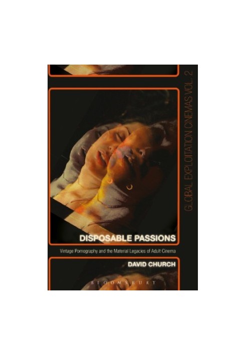 Disposable Passions: Vintage Pornography and the Material Legacies of Adult Cinema
