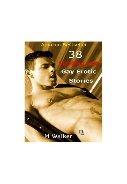38 Sizzling Hot Gay Erotic Stories: Boxed Set