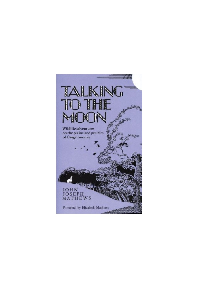 Talking to the Moon