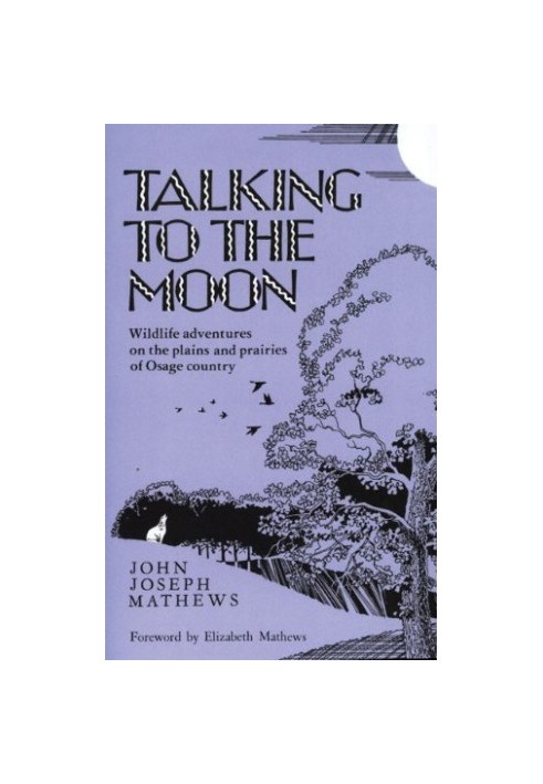 Talking to the Moon