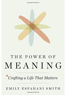 The power of meaning: crafting a life that matters