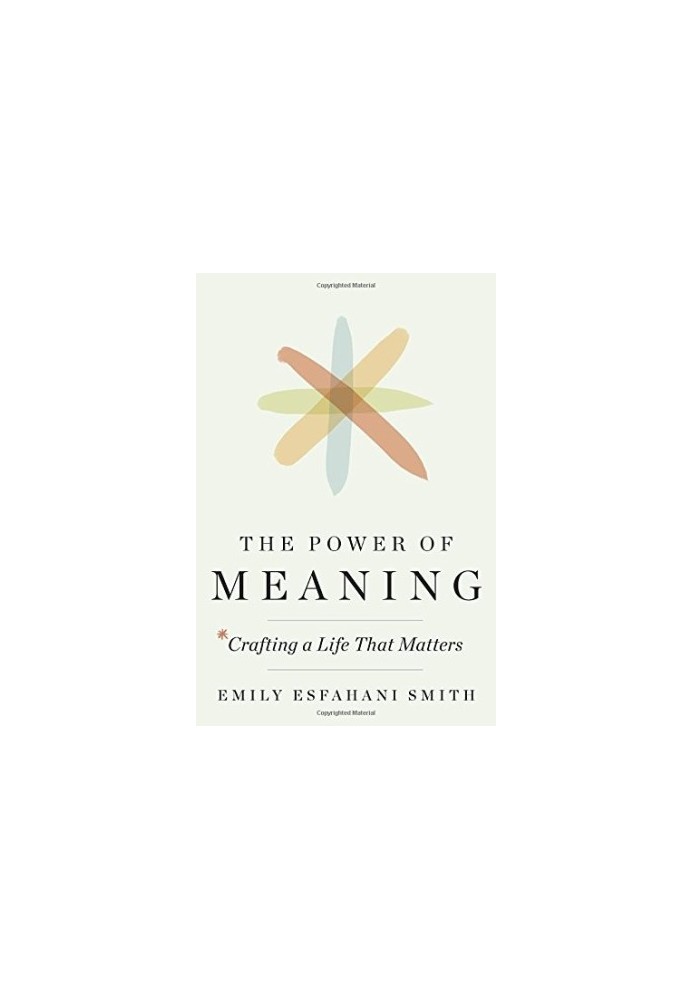 The power of meaning: crafting a life that matters
