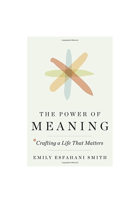The power of meaning: crafting a life that matters