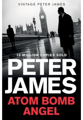 Atom Bomb Angel ( Max Flynn 2 )