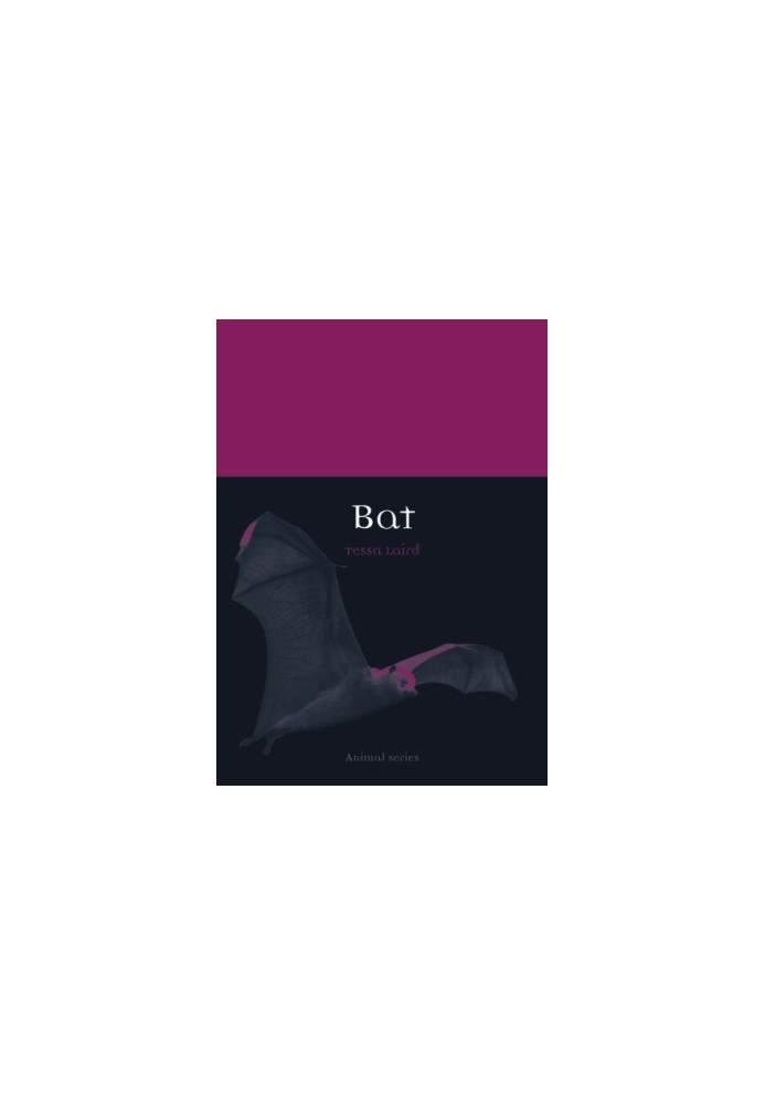 Bat