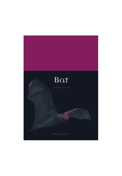 Bat