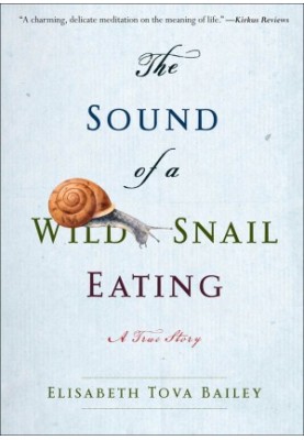 The Sound of a Wild Snail Eating