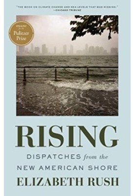 Rising: Dispatches From the New American Shore
