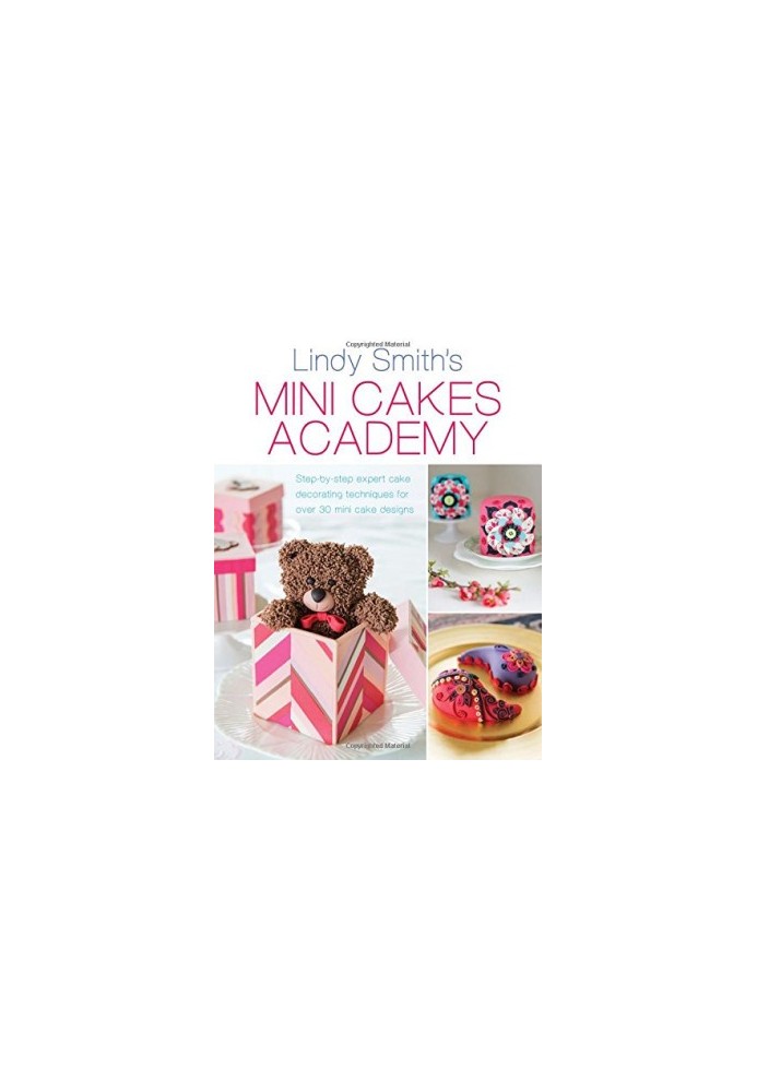 Mini Cakes Academy: Step-by-Step Expert Cake Decorating Techniques for Over 30 Mini Cake Designs