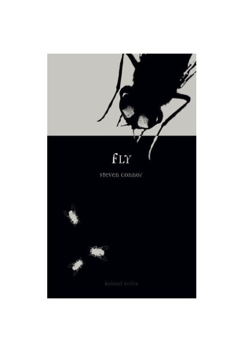 Fly