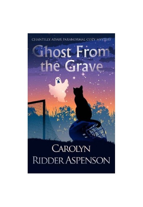 Ghost From the Grave (Chantilly Adair Psychic Medium 4)