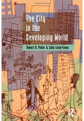 The City in the Developing World