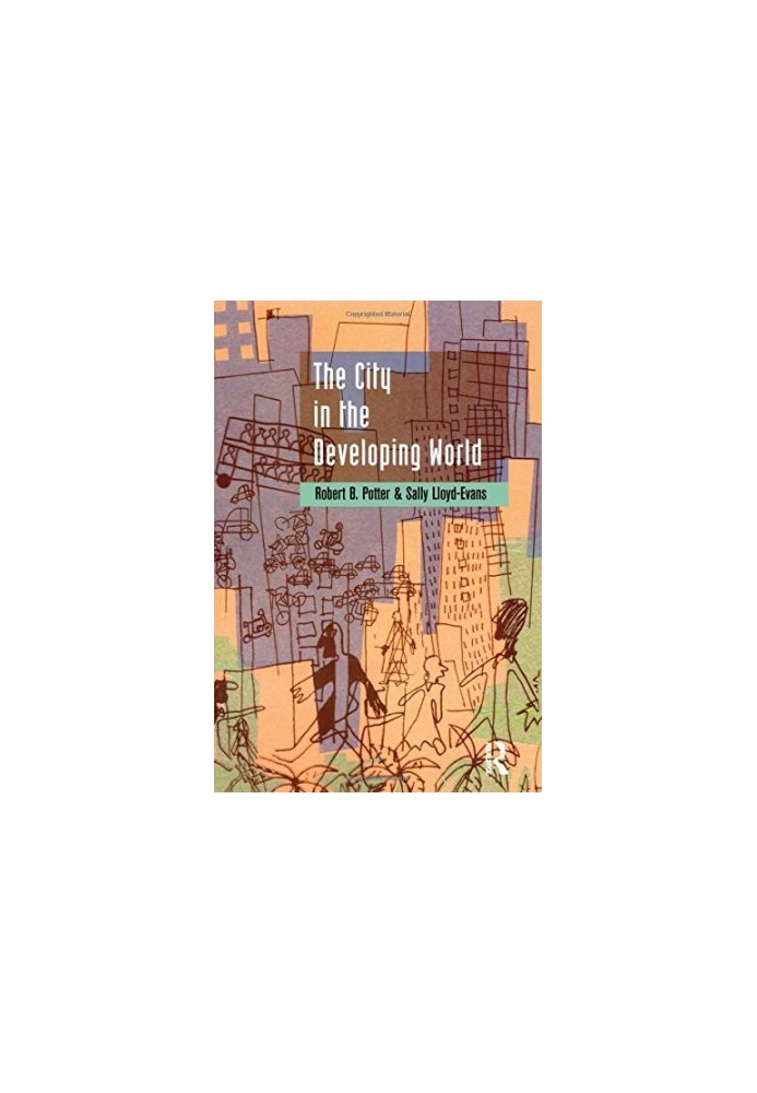 The City in the Developing World