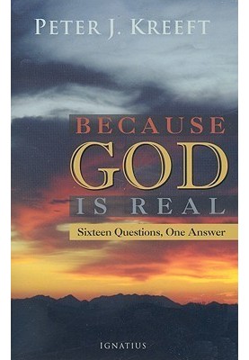 Because God is Real: Sixteen Questions, One Answer