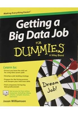 Getting a Big Data Job For Dummies