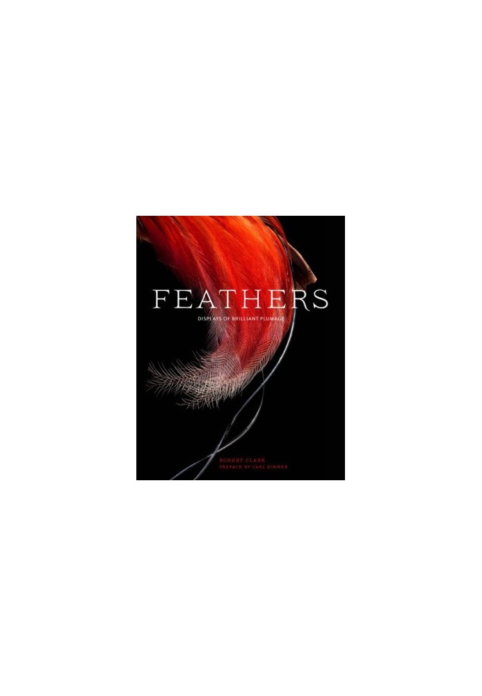 Feathers: Displays of Brilliant Plumage