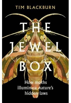 The Jewel Box: How Moths Illuminate Nature’s Hidden Rules